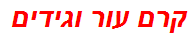 קרם עור וגידים