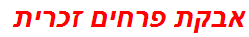 אבקת פרחים זכרית