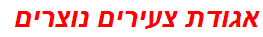 אגודת צעירים נוצרים