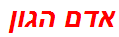 אדם הגון