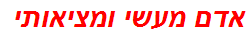 אדם מעשי ומציאותי