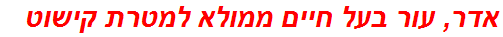 אדר, עור בעל חיים ממולא למטרת קישוט