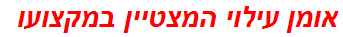 אומן עילוי המצטיין במקצועו