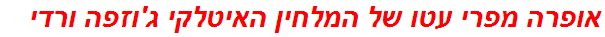 אופרה מפרי עטו של המלחין האיטלקי ג'וזפה ורדי