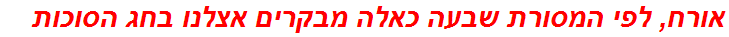 אורח, לפי המסורת שבעה כאלה מבקרים אצלנו בחג הסוכות