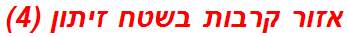 אזור קרבות בשטח זיתון (4)