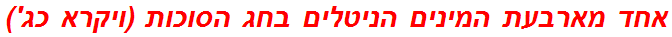 אחד מארבעת המינים הניטלים בחג הסוכות (ויקרא כג')