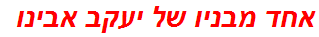 אחד מבניו של יעקב אבינו