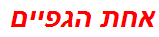 אחת הגפיים