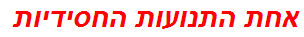 אחת התנועות החסידיות