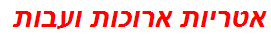 אטריות ארוכות ועבות