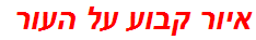 איור קבוע על העור