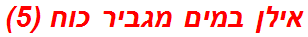 אילן במים מגביר כוח (5)