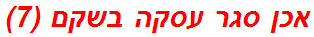 אכן סגר עסקה בשקם (7)