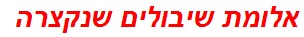 אלומת שיבולים שנקצרה