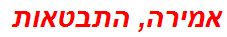 אמירה, התבטאות