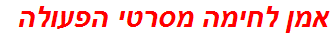 אמן לחימה מסרטי הפעולה