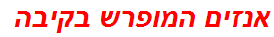 אנזים המופרש בקיבה