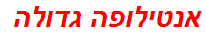 אנטילופה גדולה