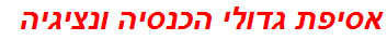 אסיפת גדולי הכנסיה ונציגיה