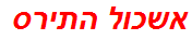 אשכול התירס