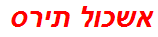 אשכול תירס