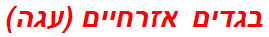 בגדים אזרחיים (עגה)