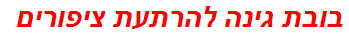 בובת גינה להרתעת ציפורים