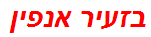 בזעיר אנפין