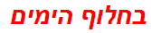 בחלוף הימים