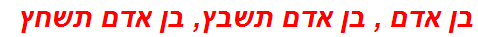 בן אדם , בן אדם תשבץ, בן אדם תשחץ