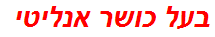 בעל כושר אנליטי