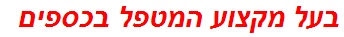 בעל מקצוע המטפל בכספים