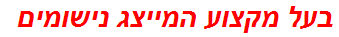 בעל מקצוע המייצג נישומים