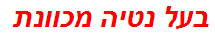 בעל נטיה מכוונת