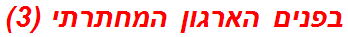 בפנים הארגון המחתרתי (3)