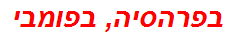 בפרהסיה, בפומבי