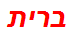 ברית