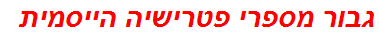 גבור מספרי פטרישיה הייסמית