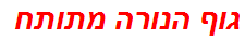 גוף הנורה מתותח