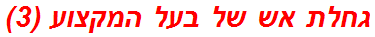 גחלת אש של בעל המקצוע (3)