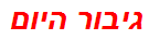 גיבור היום