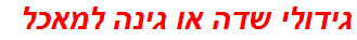 גידולי שדה או גינה למאכל