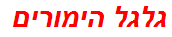 גלגל הימורים