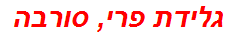 גלידת פרי, סורבה