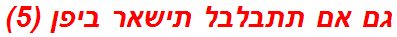 גם אם תתבלבל תישאר ביפן (5)