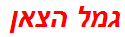 גמל הצאן