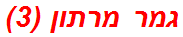גמר מרתון (3)