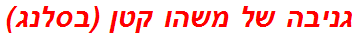 גניבה של משהו קטן (בסלנג)