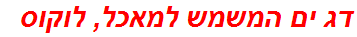 דג ים המשמש למאכל, לוקוס